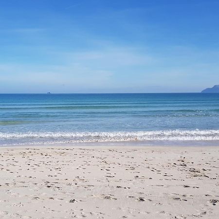 Ideal Property Mallorca - Sa Vinya Vella Alcudia  Luaran gambar
