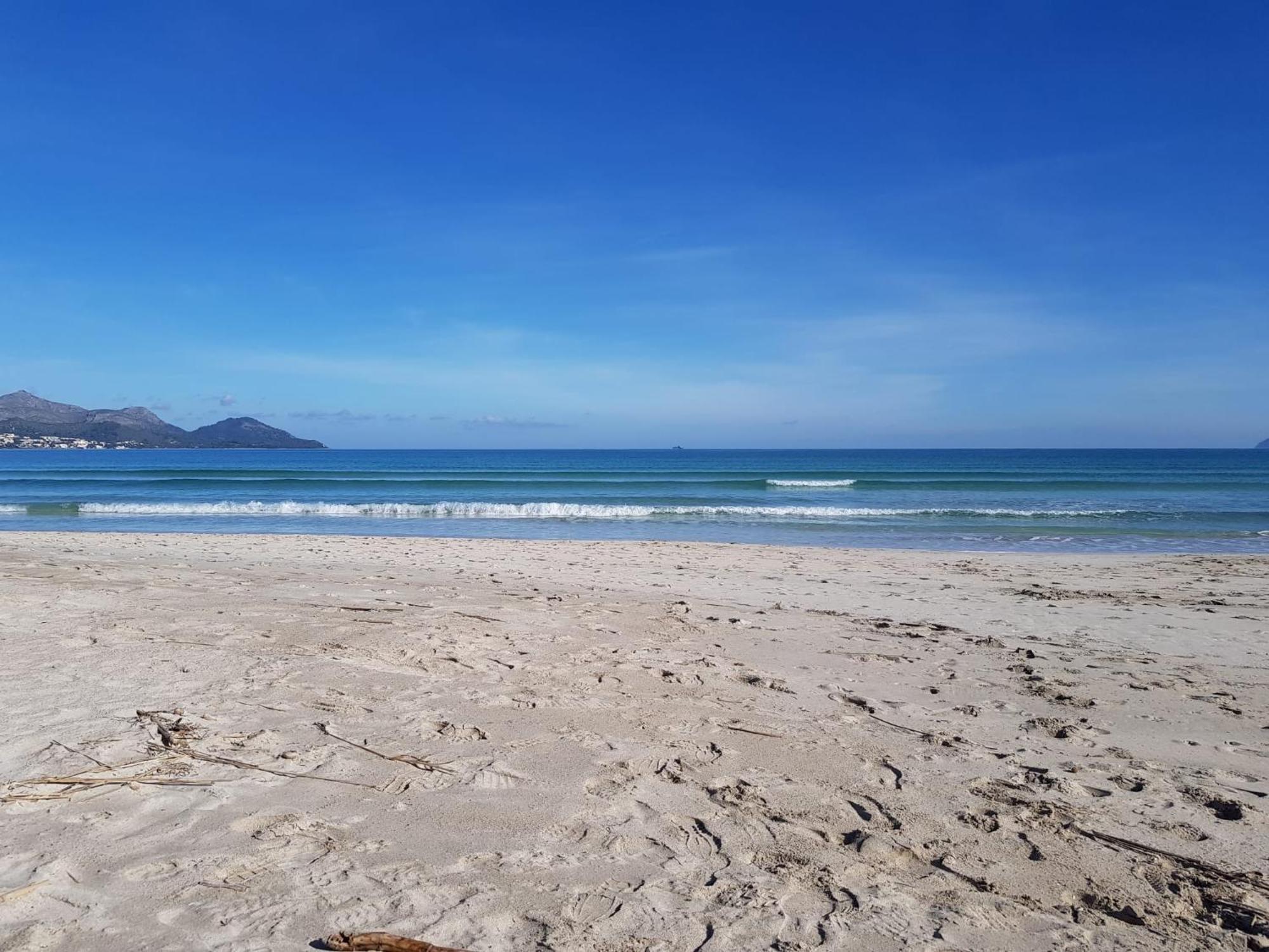 Ideal Property Mallorca - Sa Vinya Vella Alcudia  Luaran gambar
